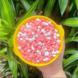 [TẶNG CHÉN] Hũ 500g Sáp sữa dừa cao cấp siêu bám lông an toàn hiệu quả, lyihome