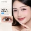 Kính áp tròng khoá ẩm 1 Ngày Màu Nâu Choco CARASE, Lens cận AQUA CHOCO