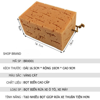Miếng Bọt Biển Rửa Xe Chuyên Dụng Cho Ô Tô Thấm Hút Nhanh, Rửa Sạch Hiệu Quả - Kích Thước Lớn 16x10x9cm
