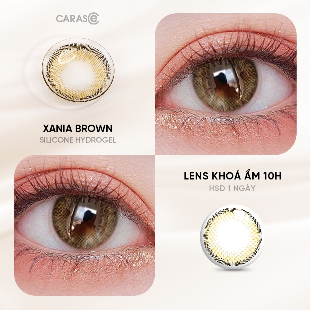 [1 chiếc] Kính áp tròng khoá ẩm 1 Ngày Màu Nâu CARASE, Lens cận XANIA BROWN