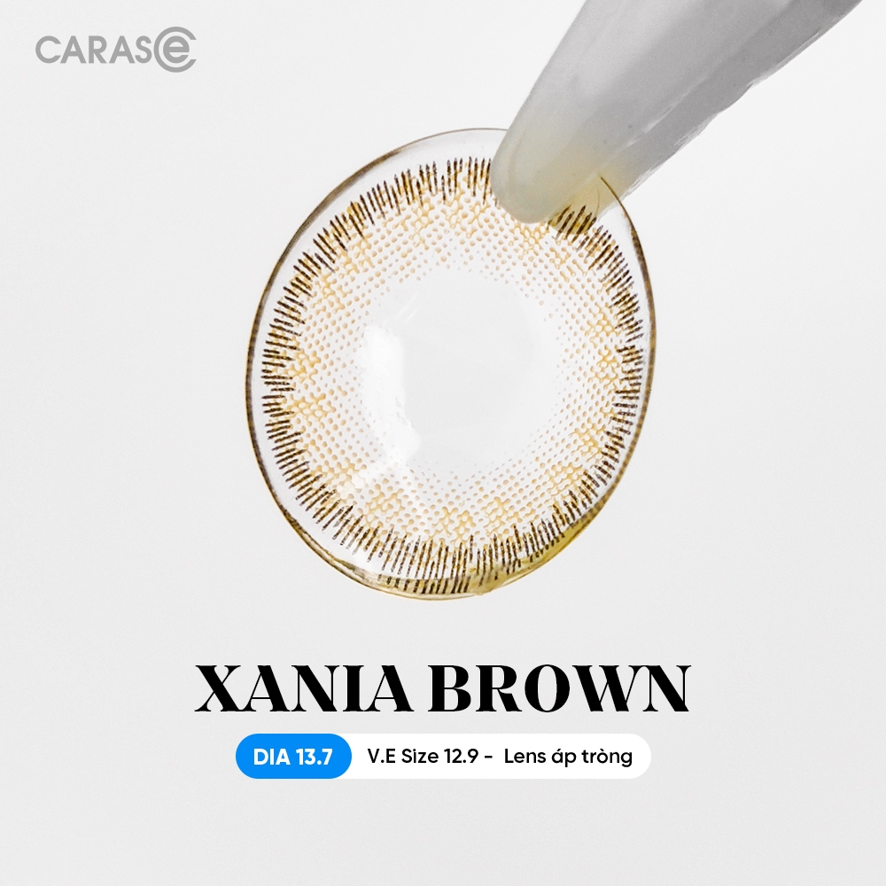 [1 chiếc] Kính áp tròng khoá ẩm 1 Ngày Màu Nâu CARASE, Lens cận XANIA BROWN