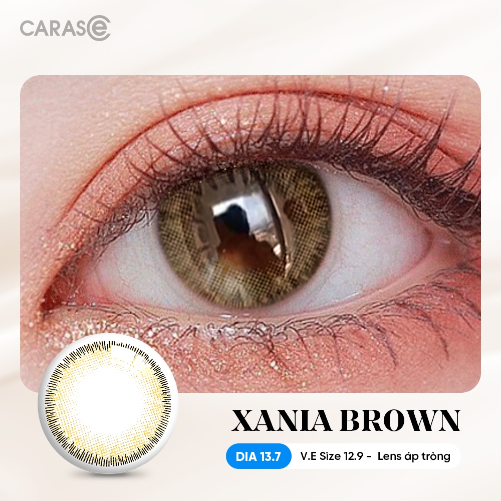 [1 chiếc] Kính áp tròng khoá ẩm 1 Ngày Màu Nâu CARASE, Lens cận XANIA BROWN
