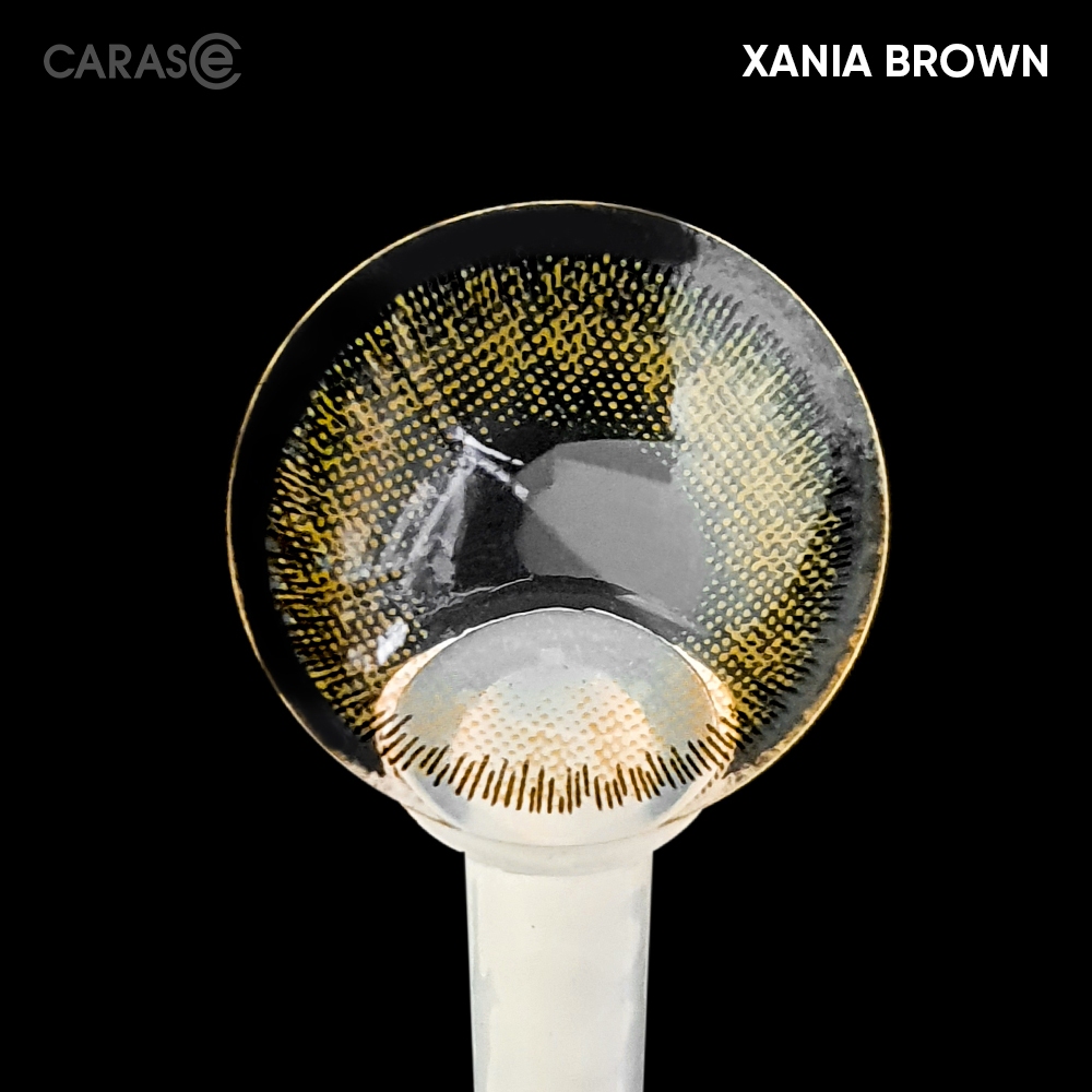 [1 chiếc] Kính áp tròng khoá ẩm 1 Ngày Màu Nâu CARASE, Lens cận XANIA BROWN