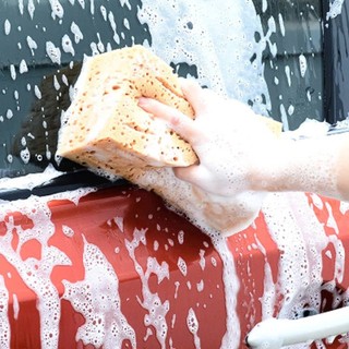 Miếng Bọt Biển Rửa Xe Chuyên Dụng Cho Ô Tô Thấm Hút Nhanh, Rửa Sạch Hiệu Quả - Kích Thước Lớn 16x10x9cm