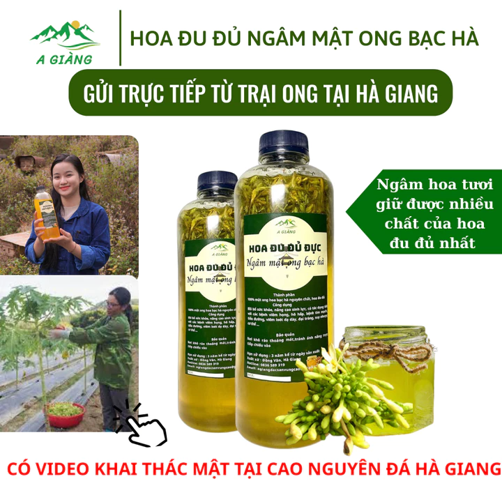 Hoa đu đủ đực ngâm mật ong rừng, Hoa đu đủ đực tươi ngâm mật ong nguyên chất