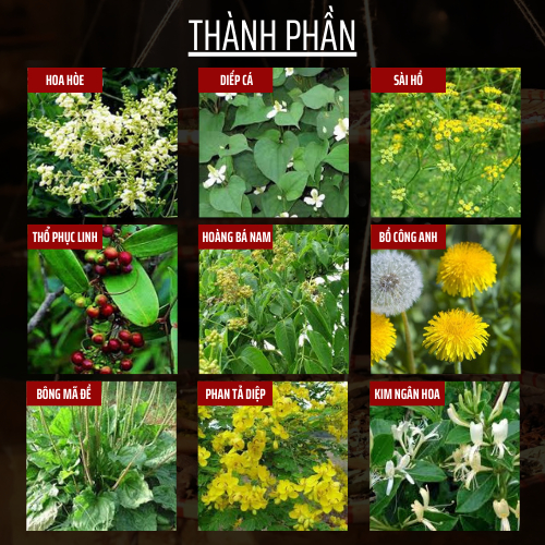Thảo mộc thiên nhiên - Đông y gia truyền Đông Cát - Hoàn tán trĩ táo bó.n - Túi 500 hoàn