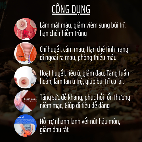 Thảo mộc thiên nhiên - Đông y gia truyền Đông Cát - Hoàn tán trĩ táo bó.n - Túi 500 hoàn