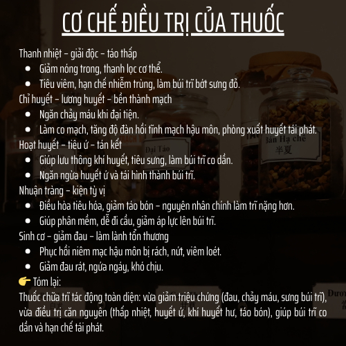 Thảo mộc thiên nhiên - Đông y gia truyền Đông Cát - Hoàn tán trĩ táo bó.n - Túi 500 hoàn