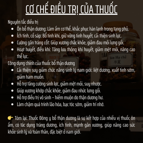 Thảo mộc thiên nhiên - Đông y gia truyền Đông Cát - Hoàn tán bothanduong - Túi 500 hoàn