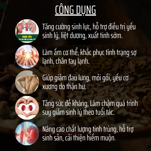 Thảo mộc thiên nhiên - Đông y gia truyền Đông Cát - Hoàn tán bothanduong - Túi 500 hoàn
