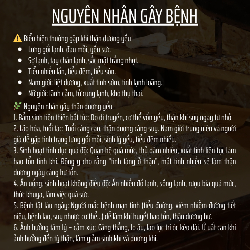 Thảo mộc thiên nhiên - Đông y gia truyền Đông Cát - Hoàn tán bothanduong - Túi 500 hoàn
