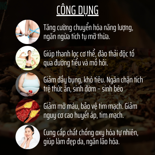 Thảo mộc thiên nhiên - Đông y gia truyền Đông Cát - Hoàn tán giảmcân- Túi 500 hoàn