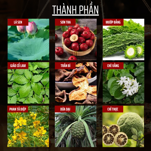Thảo mộc thiên nhiên - Đông y gia truyền Đông Cát - Hoàn tán giảmcân- Túi 500 hoàn