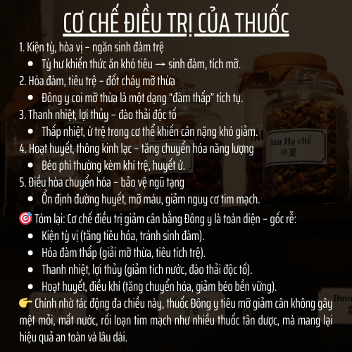 Thảo mộc thiên nhiên - Đông y gia truyền Đông Cát - Hoàn tán giảmcân- Túi 500 hoàn