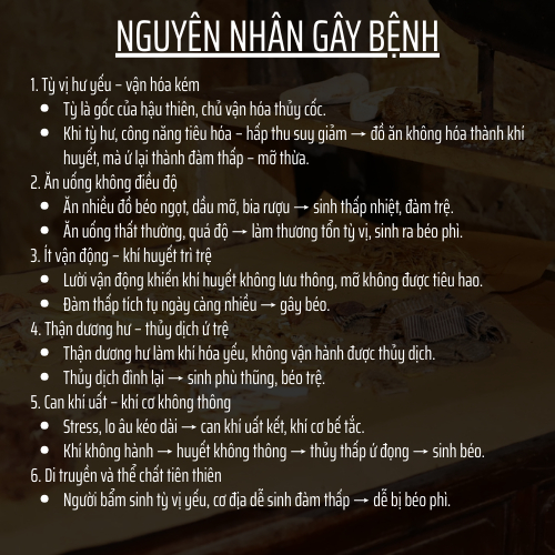 Thảo mộc thiên nhiên - Đông y gia truyền Đông Cát - Hoàn tán giảmcân- Túi 500 hoàn