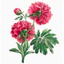 Hình hoa ủi áo--FLOWER -Miếng vá áo