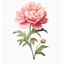 Hình hoa ủi áo--FLOWER -Miếng vá áo