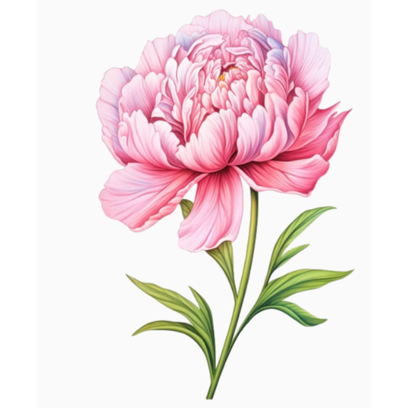 [HỎA TỐC] Hình hoa ủi áo--FLOWER -Miếng vá áo