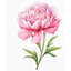 Hình hoa ủi áo--FLOWER -Miếng vá áo