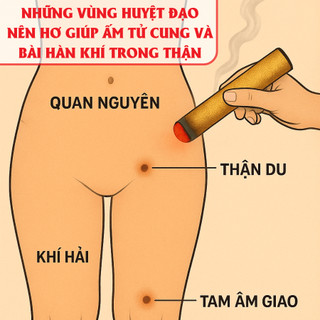 [NGẢI CỨU HỎA LỰC] Ấm tử cung bài thận cứu BỘI LAN ĐƯỜNG giúp bài hàn tử cung, giảm đau bụng kinh cho chị em ống 20x7cm