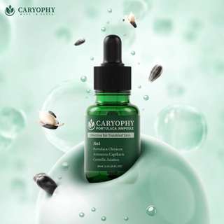 Tinh Chất Serum Caryophy Giảm Mụn, Mờ Thâm Mụn Caryophy Portulaca Ampoule 30ml