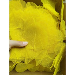 Set 5 Xương lá bồ đề nhuộm vàng tự nhiên size vừa
