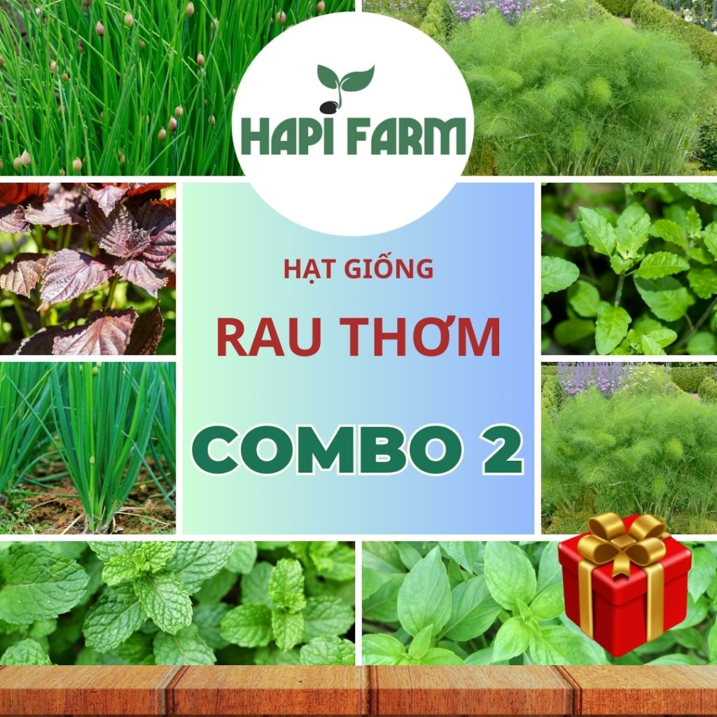 (Combo 2 Gói Tiết Kiệm) Hạt Giống Rau Thơm Dễ Nảy Mầm, Trồng Một Lần ...