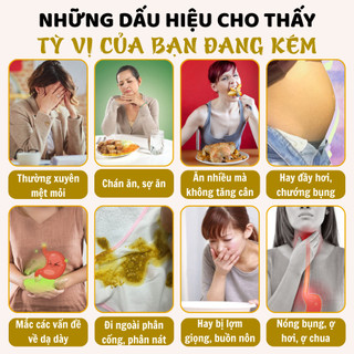 [NGẢI CỨU HỎA LỰC] Dưỡng tỳ bài ẩm cứu BỘI LAN ĐƯỜNG bài ẩm, cân bằng tỳ vị, hỗ trợ các vấn đề tiêu hóa ống (20x7cm)