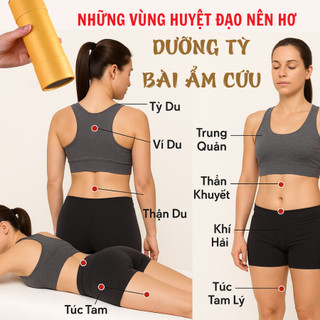 [NGẢI CỨU HỎA LỰC] Dưỡng tỳ bài ẩm cứu BỘI LAN ĐƯỜNG bài ẩm, cân bằng tỳ vị, hỗ trợ các vấn đề tiêu hóa ống (20x7cm)