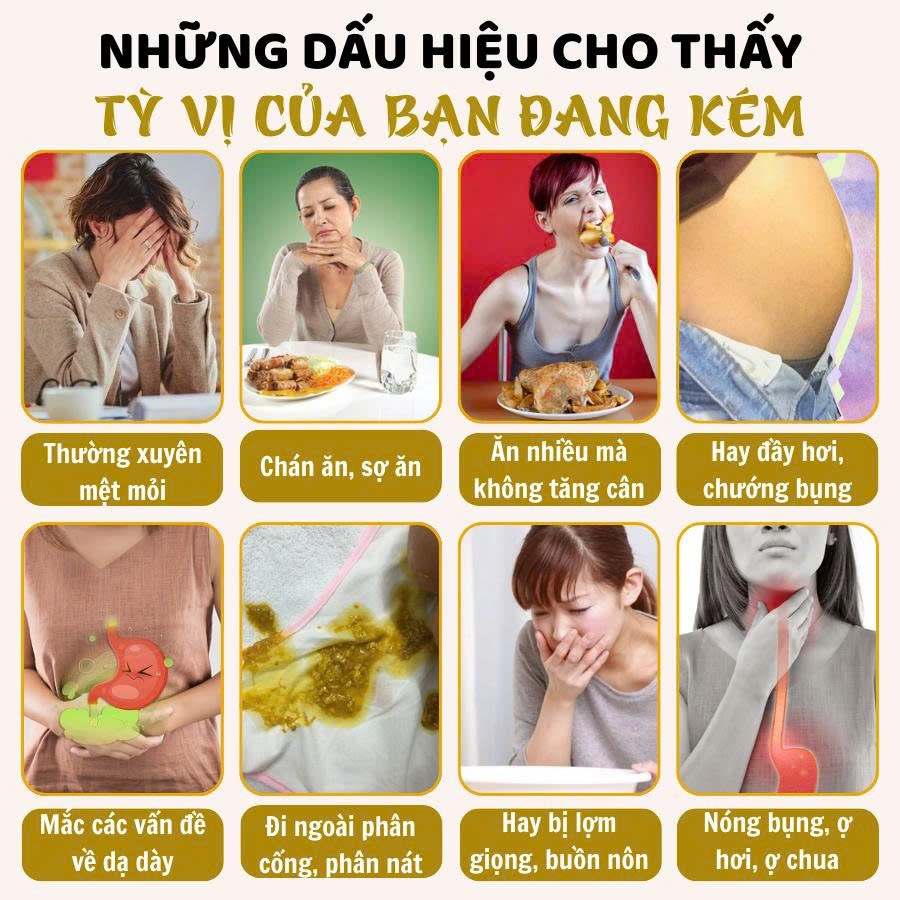 Điếu xông ngải cứu "Dưỡng tỳ bài ẩm cứu" CALEN bài ẩm, cân bằng tỳ vị, hỗ trợ các vấn đề tiêu hóa ống (20x7cm)