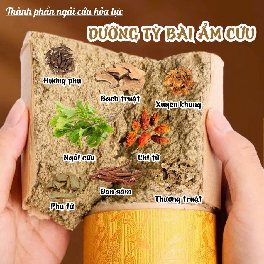 Điếu xông ngải cứu "Dưỡng tỳ bài ẩm cứu" CALEN bài ẩm, cân bằng tỳ vị, hỗ trợ các vấn đề tiêu hóa ống (20x7cm)