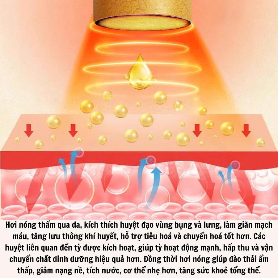 Điếu xông ngải cứu "Dưỡng tỳ bài ẩm cứu" CALEN bài ẩm, cân bằng tỳ vị, hỗ trợ các vấn đề tiêu hóa ống (20x7cm)