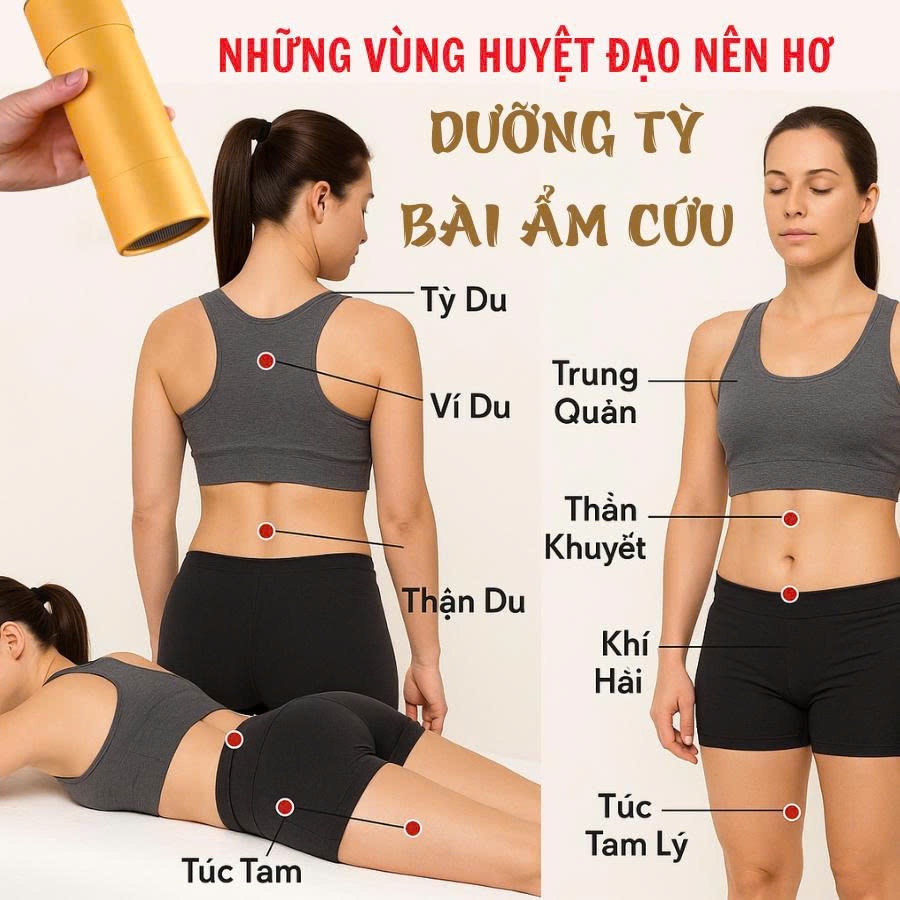 Điếu xông ngải cứu "Dưỡng tỳ bài ẩm cứu" CALEN bài ẩm, cân bằng tỳ vị, hỗ trợ các vấn đề tiêu hóa ống (20x7cm)