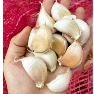 Tỏi khô củ to, nhiều tép,tỏi lụa  (0,5-1kg)