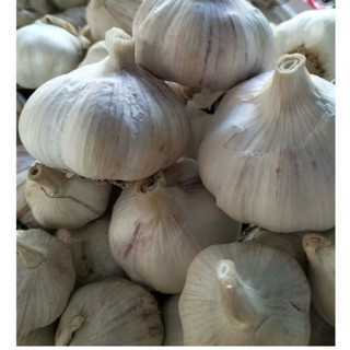 Tỏi khô củ to, nhiều tép,tỏi lụa  (0,5-1kg)