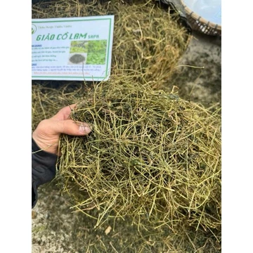 Trà giảo cổ lam (1kg), giảo cổ lam 5 lá hòa bình khô sạch thơm
