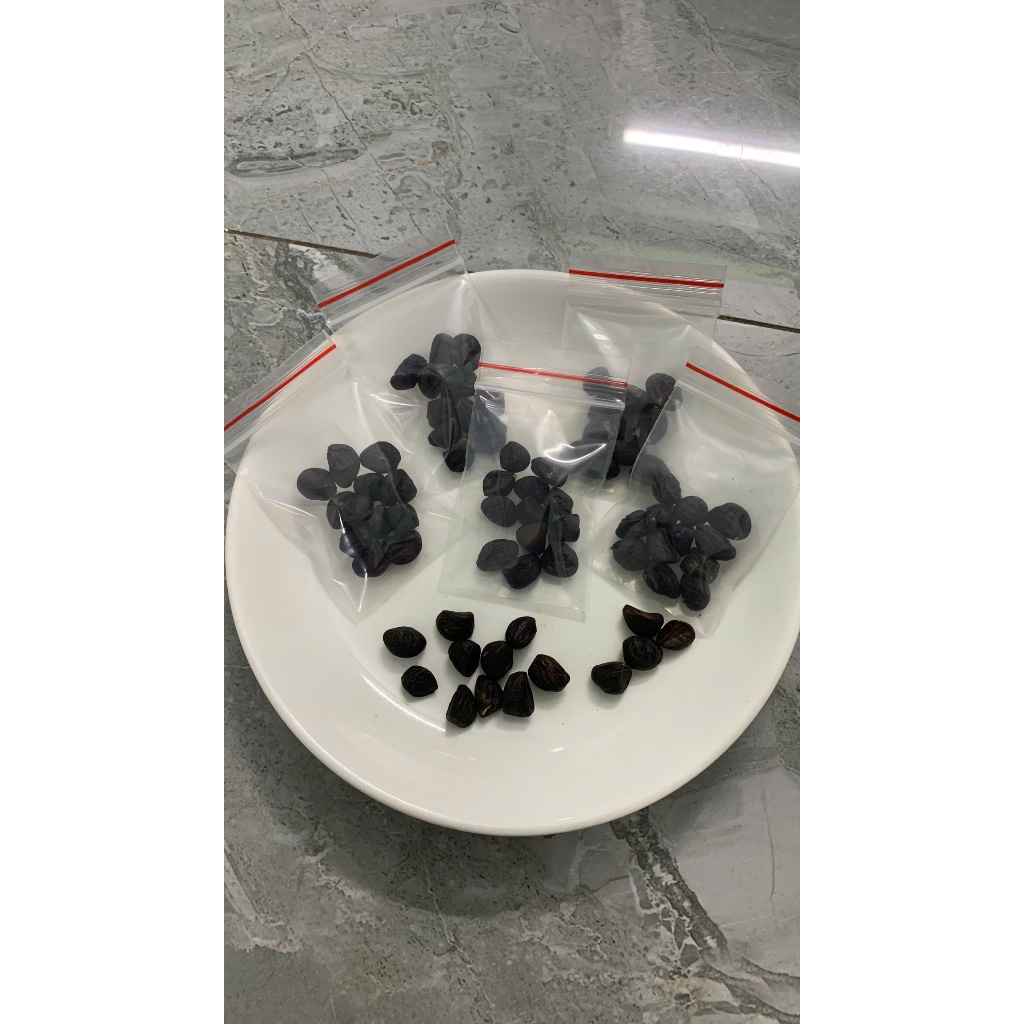 🌿 HẠT DỔI TÂY BẮC – GIA VỊ ĐẶC SẢN CHO MÓN ĂN THÊM NGON