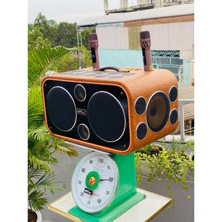 Loa Xách Tay 24 Đường Tiếng T379 Premium Công Suất 700W, 2 Bass 25cm Cực Mạnh, Âm Thanh Sáng Ấm.