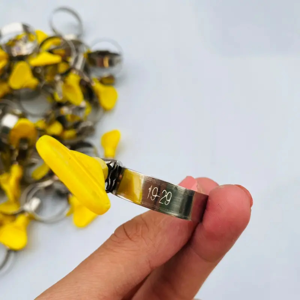 Combo 20 chiếc đai xiết ống Cổ dê ống nước, cổ xiết ống, đai xiết, kẹp đầu ống - 19x29 - INOX