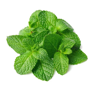 HƯƠNG BẠC HÀ (Mint FR / Mint Flavor) 5mL 10mL 25mL