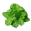 HƯƠNG BẠC HÀ (Mint FR / Mint Flavor) 50mL 100mL