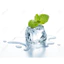 HƯƠNG BẠC HÀ (Mint FR / Mint Flavor) 50mL 100mL