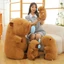 Gấu bông CP Nước Mũi Size Lớn MEILI STORE