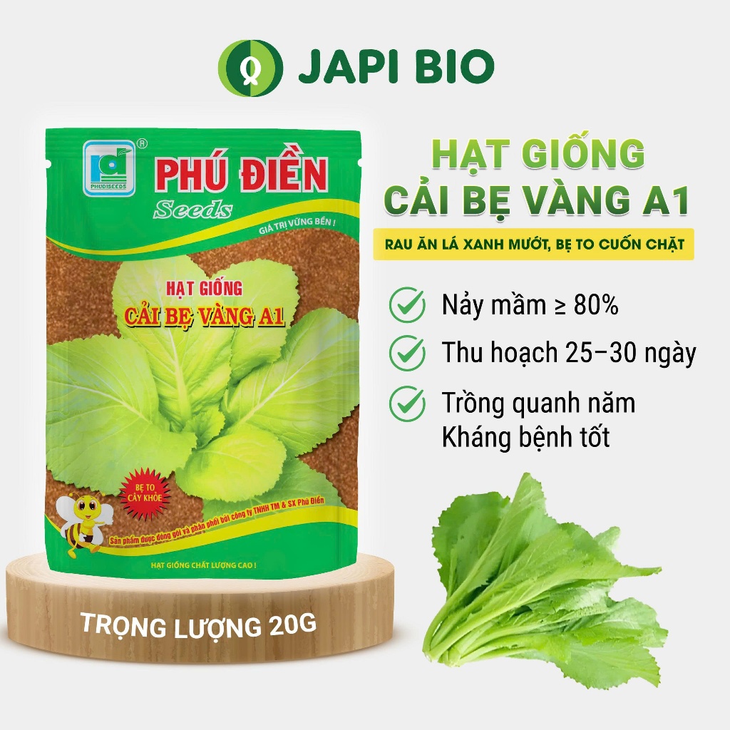Hạt giống Cải Bẹ Vàng A1 20g – Hạt giống rau ăn lá kháng bệnh, trồng quanh năm