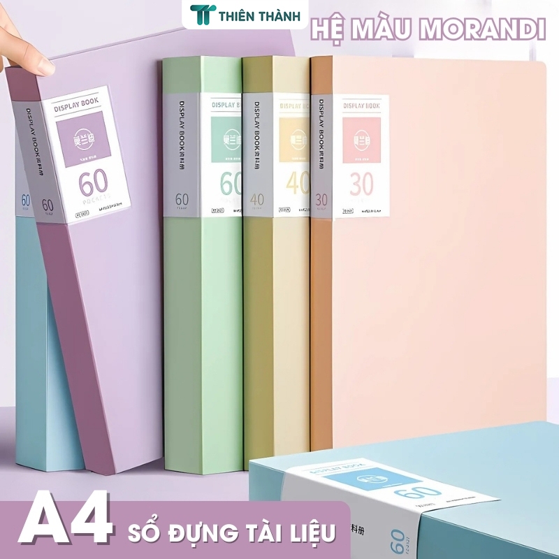 File Đựng Tài Liệu A4 30 Lá 40 Lá Màu Pastel – Tệp Đựng Giấy Tờ Gọn Gàng, Ngăn Nắp