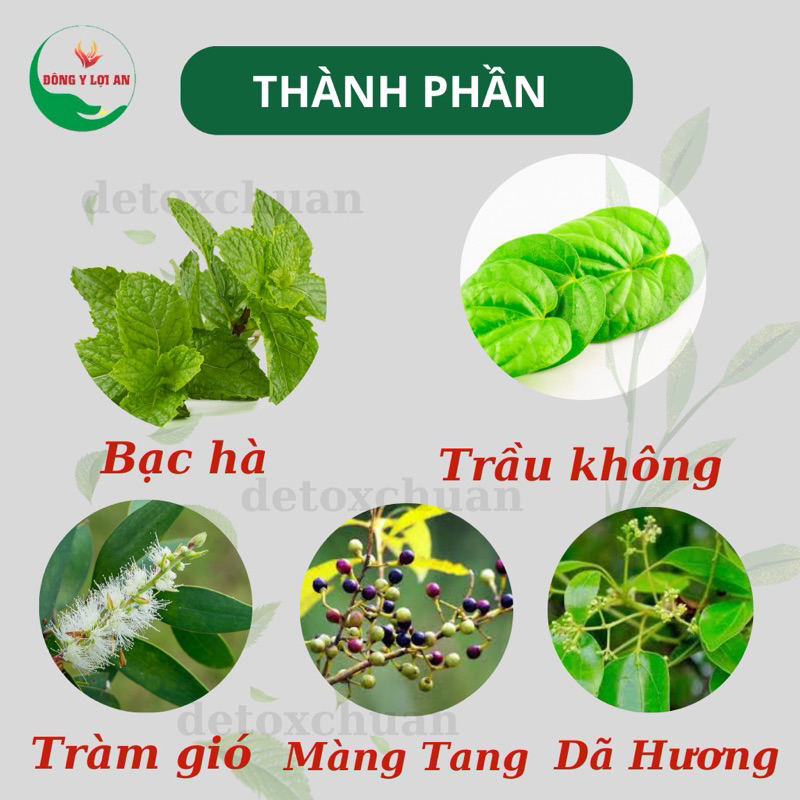 Tinh Dầu An Lợi An Hỗ Trợ Bôi Ho Khò Khè Cho Bé Hộp 20ml + quà