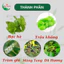 Tinh Dầu An L.o.i A n Bôi Ho Khò Khè Giảm Ho cho Bé 20ml