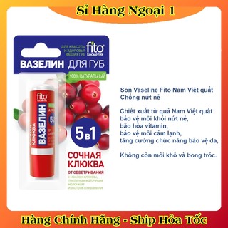 Son Dưỡng Môi Vị Trái Cây Fito Lip Vaseline Của Nga