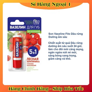 Son Dưỡng Môi Vị Trái Cây Fito Lip Vaseline Của Nga