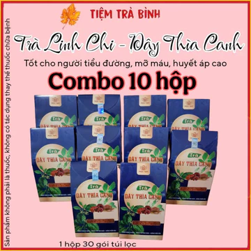 combo 10 hộp trà linh chi dây thìa canh Mộc tâm mẫu mới - trà thảo mộc 8 vị cho người tiểu đường mỡ máu - trà đông trùng